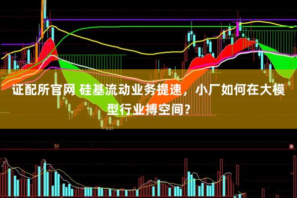 证配所官网 硅基流动业务提速，小厂如何在大模型行业搏空间？