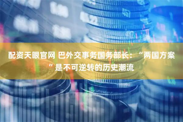 配资天眼官网 巴外交事务国务部长：“两国方案”是不可逆转的历史潮流