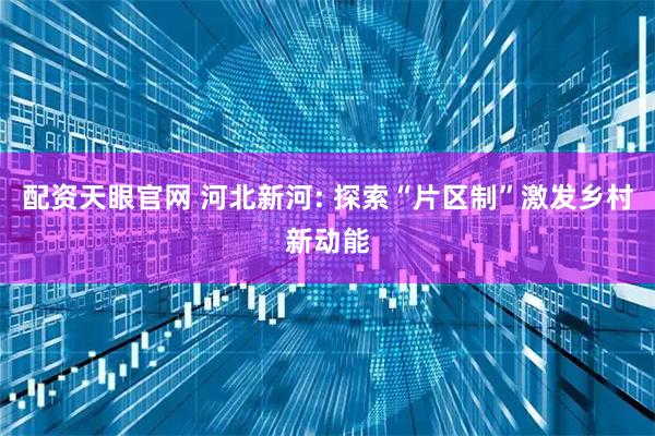 配资天眼官网 河北新河: 探索“片区制”激发乡村新动能