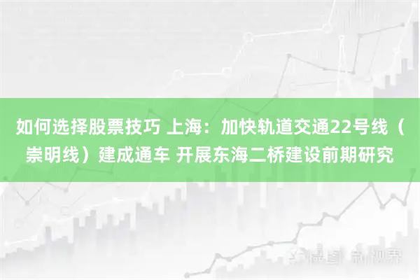 如何选择股票技巧 上海:加快轨道交通22号线(崇明线)建成通车 开展东海二桥建设前期研究