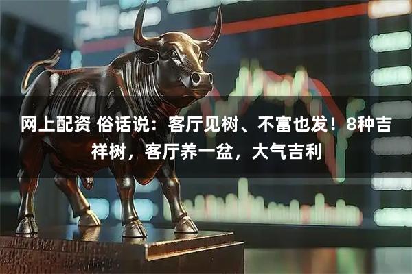 网上配资 俗话说：客厅见树、不富也发！8种吉祥树，客厅养一盆，大气吉利