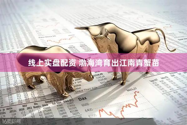线上实盘配资 渤海湾育出江南青蟹苗